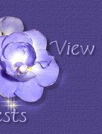 violetsview.jpg (7123 bytes)